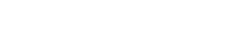 SapienSecure